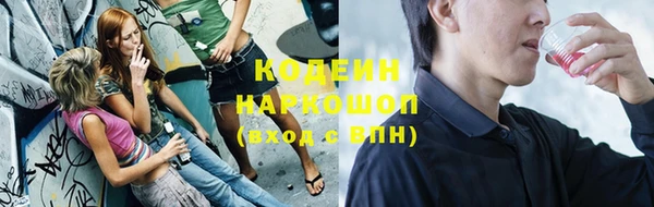 мдпв Дмитровск