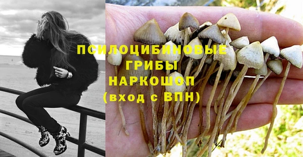 дурь Гусь-Хрустальный