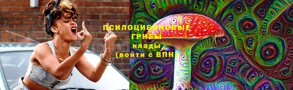 дурь Гусь-Хрустальный