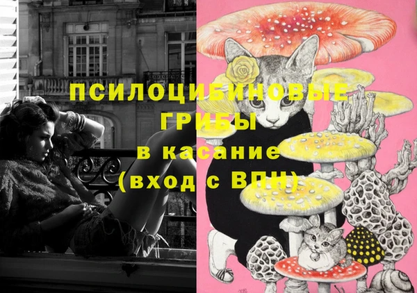 спиды Гусев