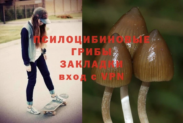кокс Гусиноозёрск