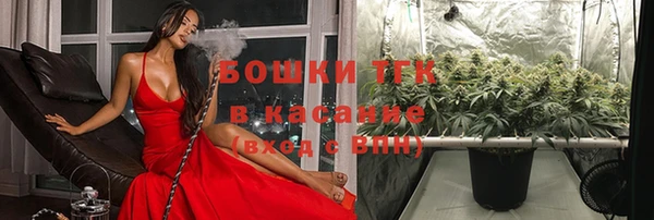 дурь Гусь-Хрустальный