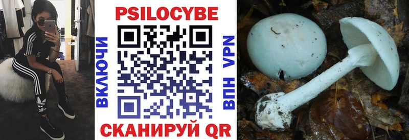 Галлюциногенные грибы прущие грибы  Купить  Покачи 